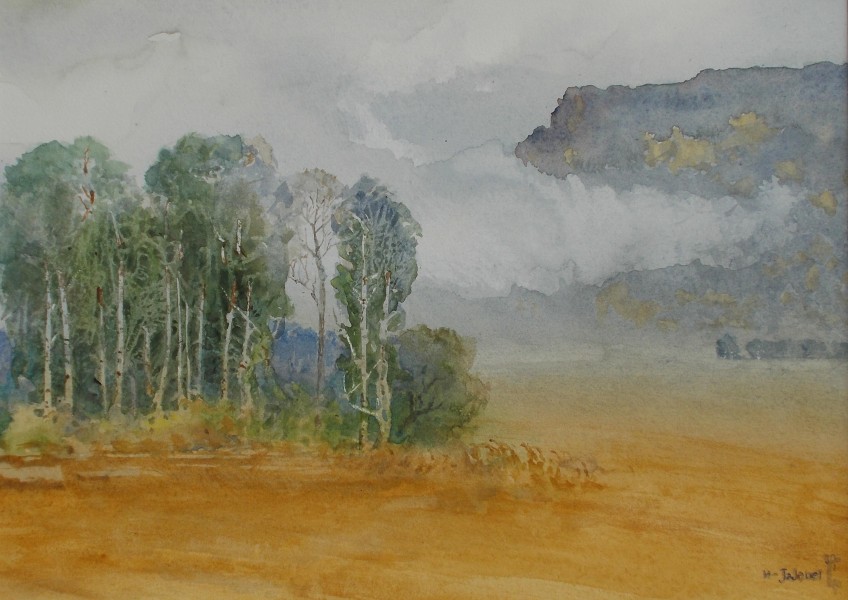 Jajouei Hossein Ful sumer ,12 x 14 inches,Watercolor